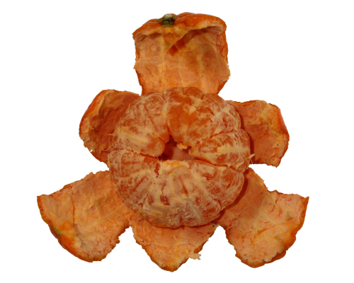 fruit tangerine orange