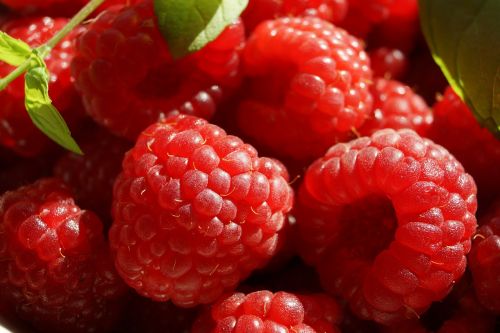 fruit raspberries healthy