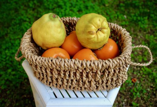 fruit quince khaki