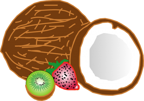 fruit tropical coconut