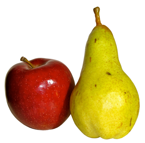 fruit pear food
