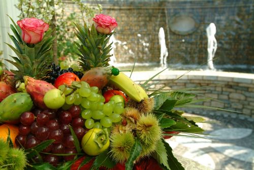 fruit food garden