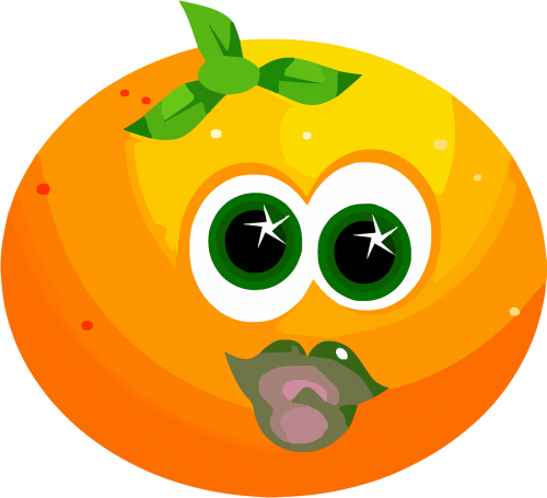 fruit face orange