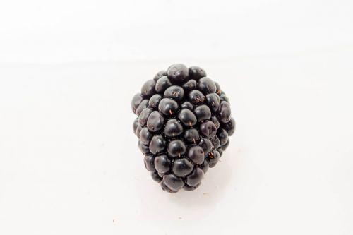 fruit berry closeup