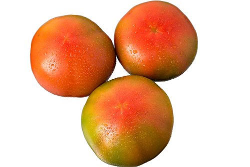 fruit  tomato  food