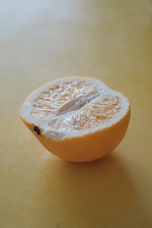 fruit  hood  orange
