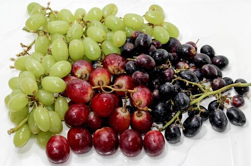 fruit  food  berry