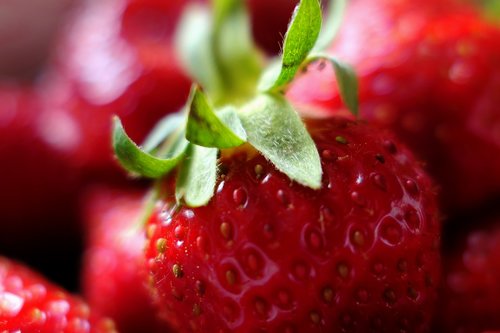 fruit  strawberry  berry