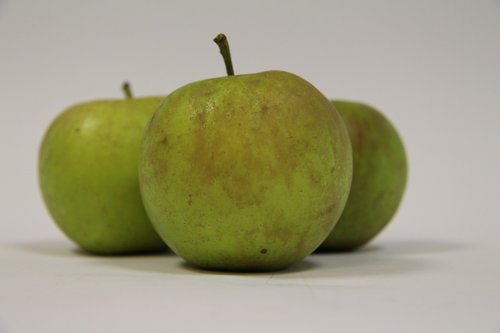 fruit  apple  apples