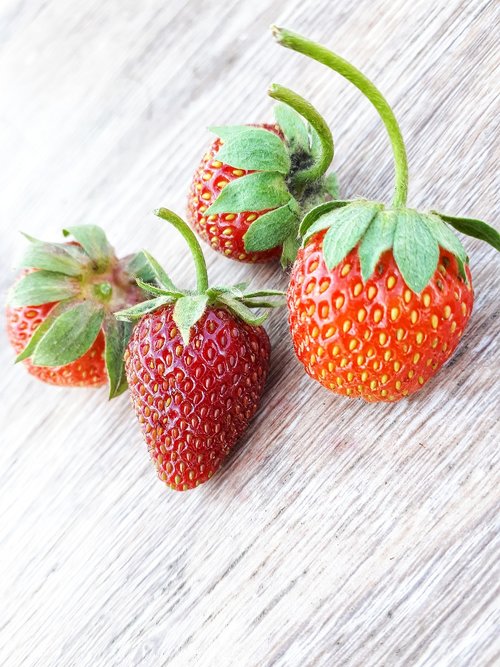 fruit  berry  strawberry