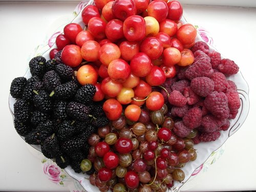 fruit  raspberries  mulberry