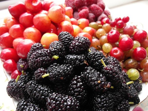 fruit  raspberries  mulberry