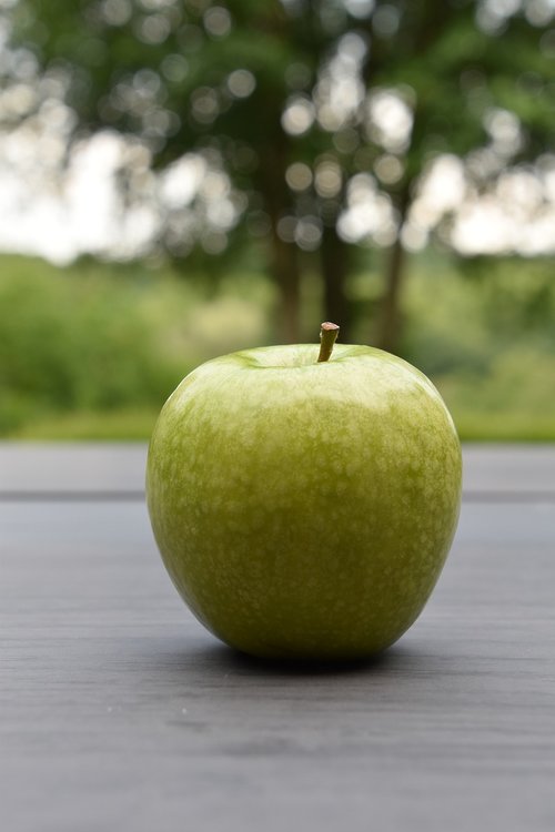 fruit  apple  green