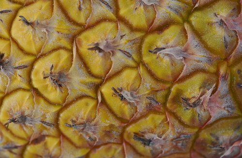 fruit  pineapple  skin