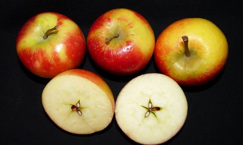 fruit  apples  fresh