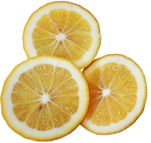 fruit  lemon  slices