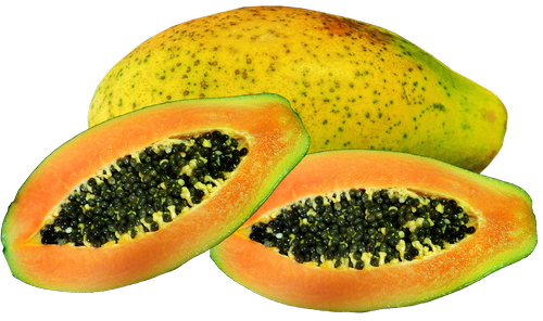 fruit  red papaya  tropical