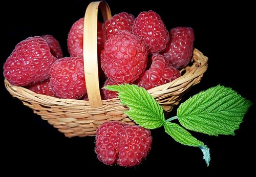 fruit  raspberries  fresh