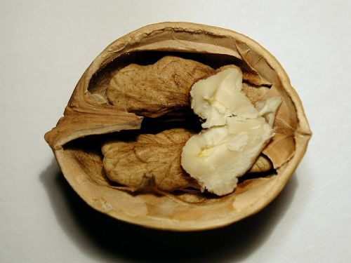 fruit nut walnuts