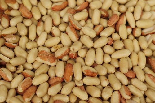 fruit  peanuts  healthy