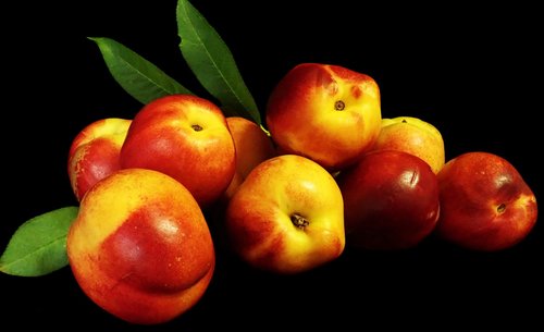 fruit  nectarines  food