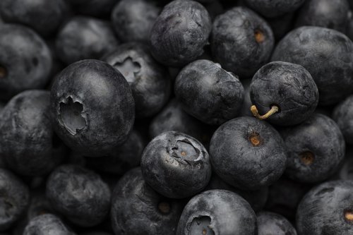 fruit  blueberries  tasty