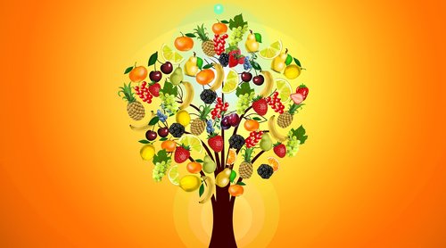 fruit  fruit tree  health