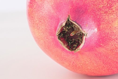 fruit  pomegranate  red