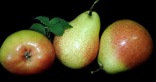 fruit  pears  ripe