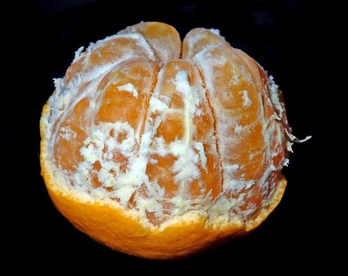 fruit  citrus  mandarin