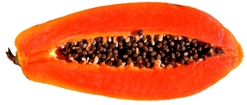 fruit papaya food