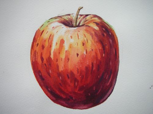 fruit apple painting