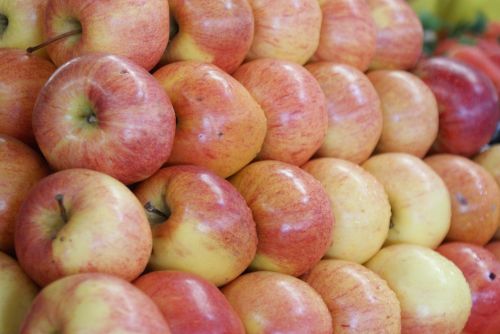 fruit apples market