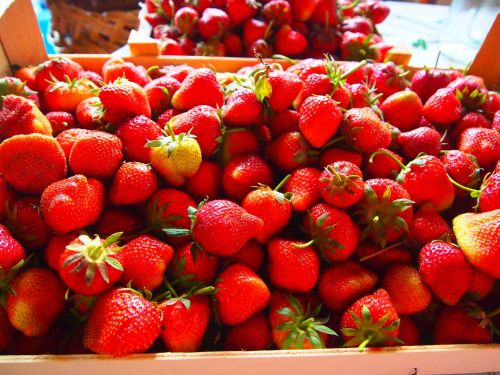 fruit strawberry still life
