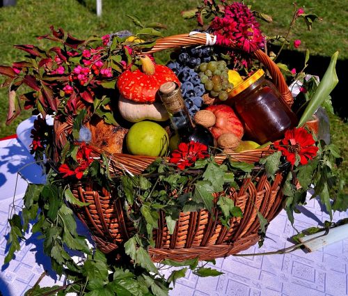 fruit basket fruits harvest