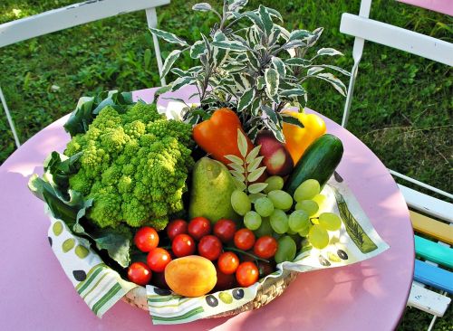 fruit basket garden vegetables
