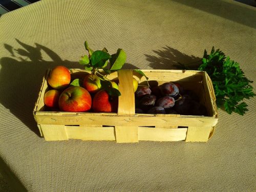 fruit basket fruit apple