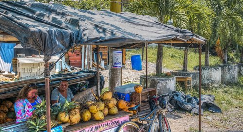 fruit stand  guatemala  pineapple