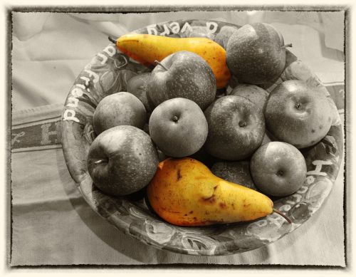 fruits still life fruit