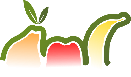 fruits pear apple