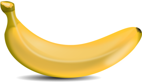fruits tree banana