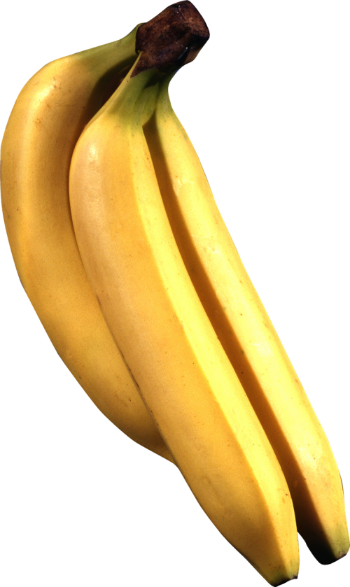 fruits tree banana