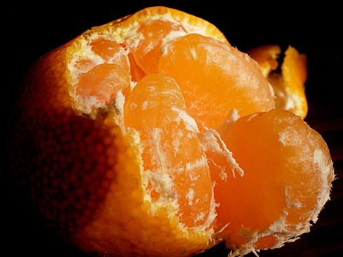 fruits nature orange