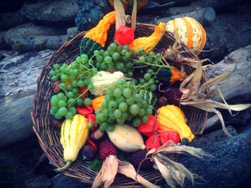 fruits thanksgiving autumn decoration