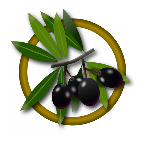 fruits olives oil