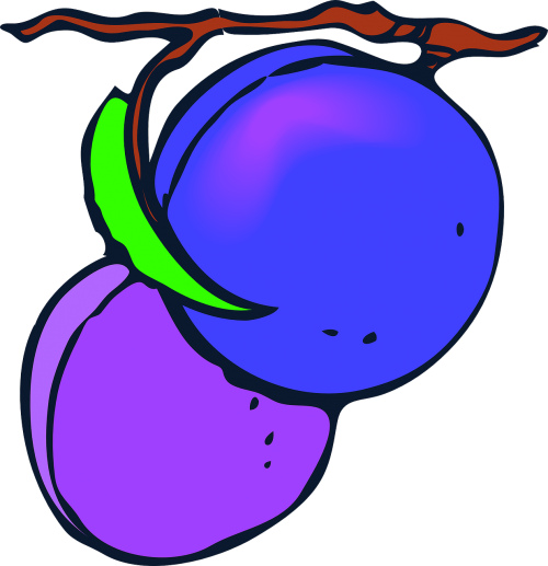fruits plums purple
