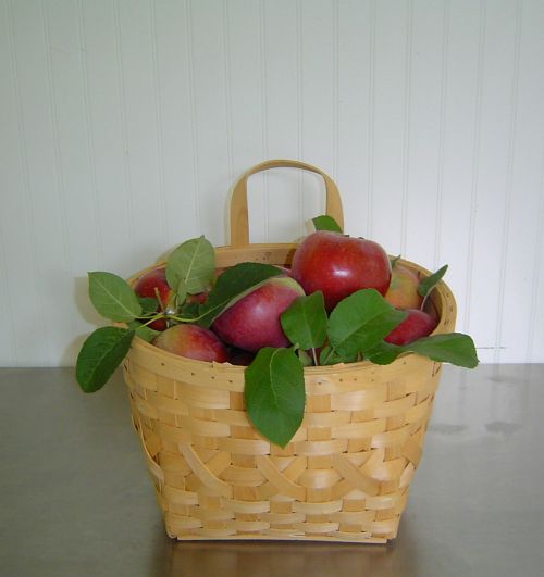 fruits baskets apples