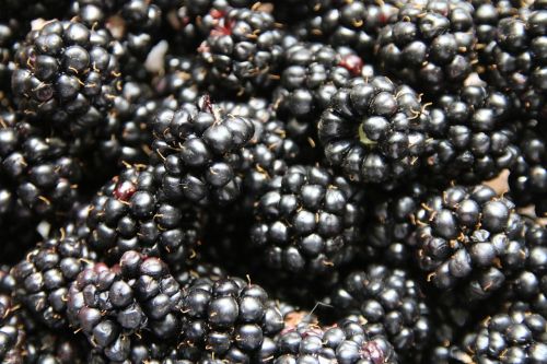 fruits berries blackberries