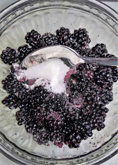 fruits blackberries fruit