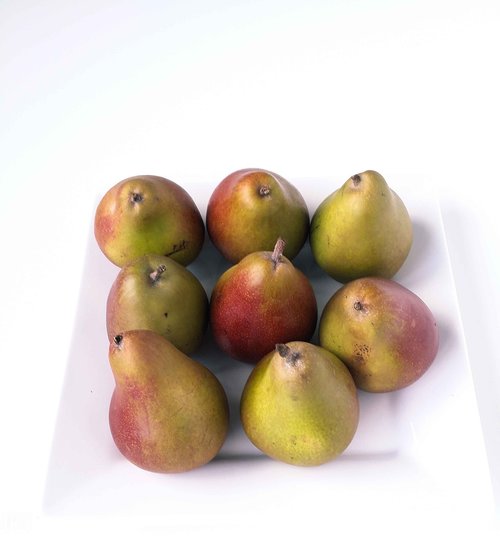 fruits  pears  fruit